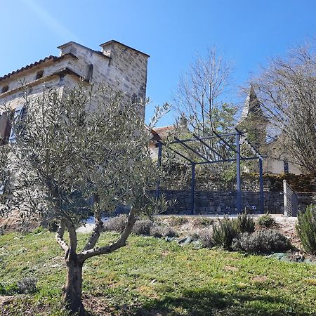 Вилла Le Pigeonnier De Felines Caylus Номер фото