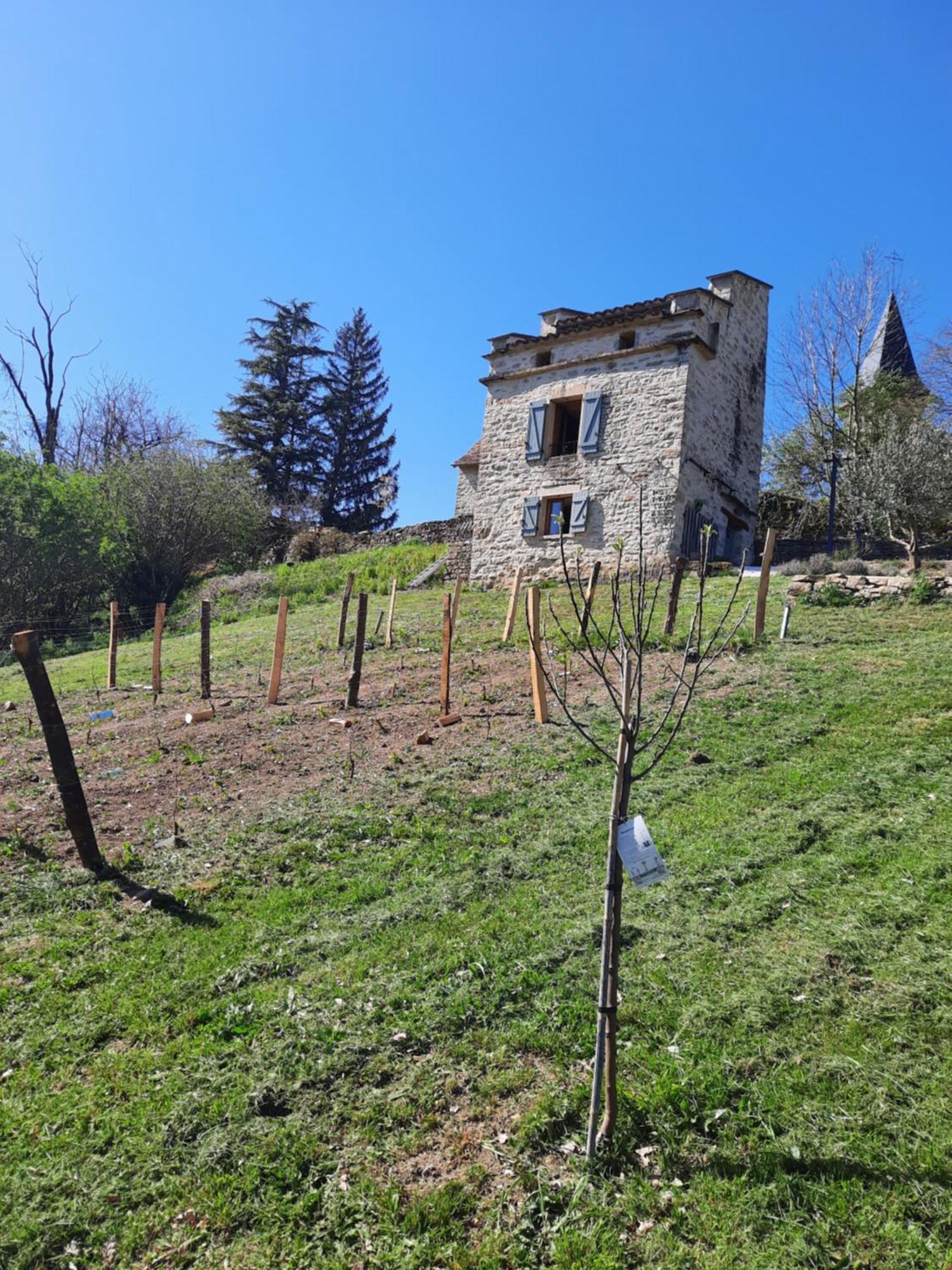 Вилла Le Pigeonnier De Felines Caylus Номер фото
